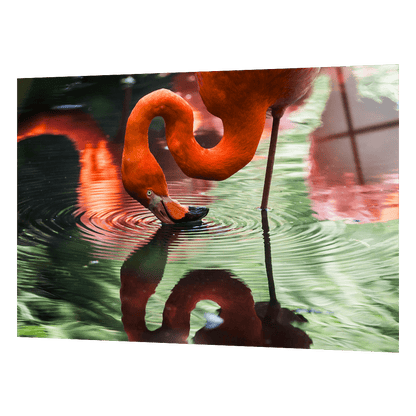 REFLECTIVE FLAMINGO CAM TABLO