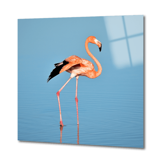 GRACEFUL FLAMINGO CAM TABLO